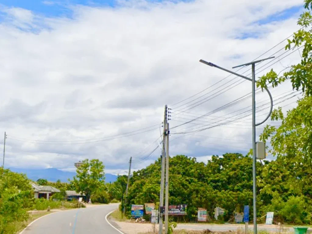 ที่นาแบ่งขาย 200 ตรว พิกัดบ้านน้ำดิบ ป่าซาง ลำพูน ที่ดินวิวสวย ใกล้สถานที่ราชการ