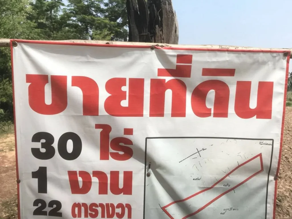 ขาย ที่ดิน ห่างจากถนนสาย 24 โชคชัย-เดชอุดม 2 กมบ้านหนองอาแมะ ตโคกมะขาม อประโคนชัย จบุรีรัมย์