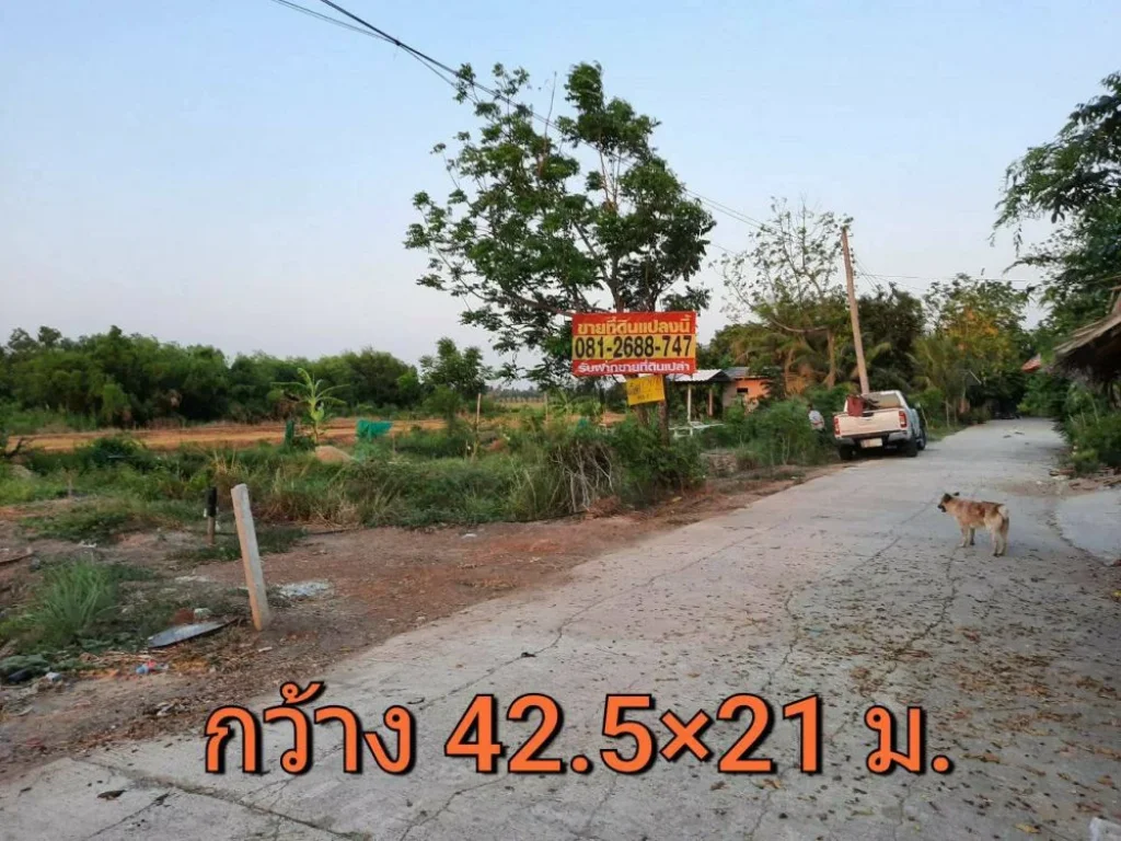 ขายที่ดินราคาถูกราษฎร์นิยม 222 ตารางวา ใกล้ถนนบางบัวทอง-สุพรรณบุรี340 อไทรน้อย จนนทบุรี