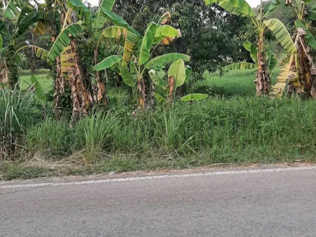 ขายที่ดินใกล้หมู่บ้านรุ่งอรุณห่างน้ำพุร้อน 400 เมตร แม่ออน สันกำแพง