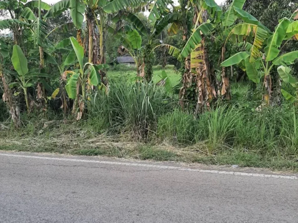 ขายที่ดินใกล้หมู่บ้านรุ่งอรุณห่างน้ำพุร้อน 400 เมตร แม่ออน สันกำแพง