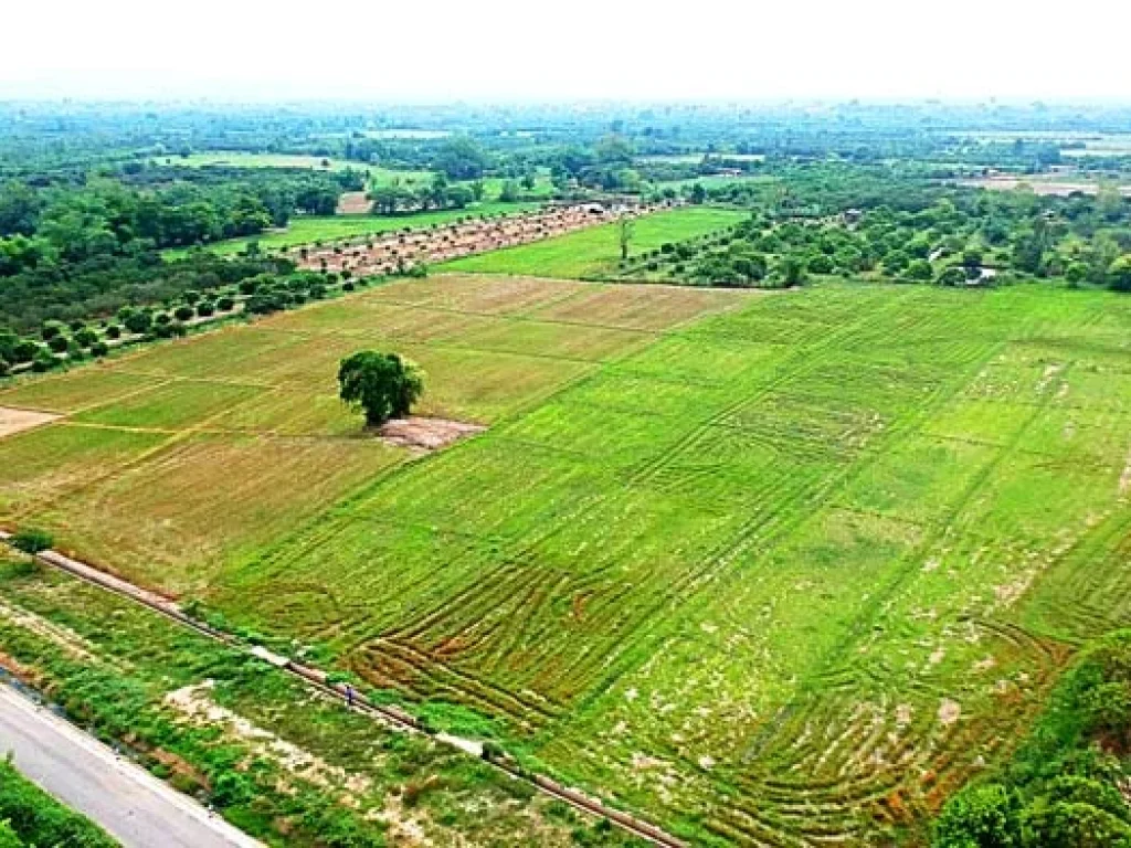 ขายที่นา ตำบลหนองแก๋ว อำเภอหางดง เชียงใหม่ ใกล้ชุมชน น้ำชลประทานสมบูรณ์