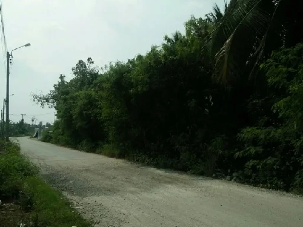 ขายที่ดิน 281 ตรว ถนนพาดวารี จังหวัดอุตรดิตถ์