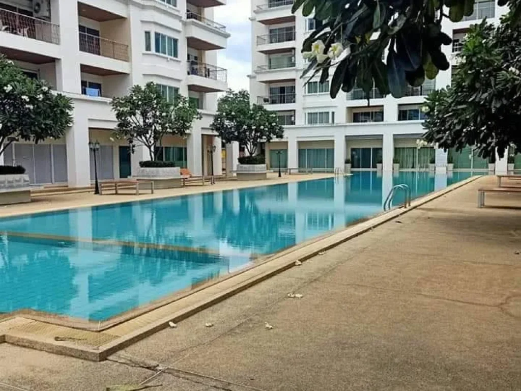 ให้เช่าขาย For Rent sale TW Jomtien Beach Condominium Pattaya