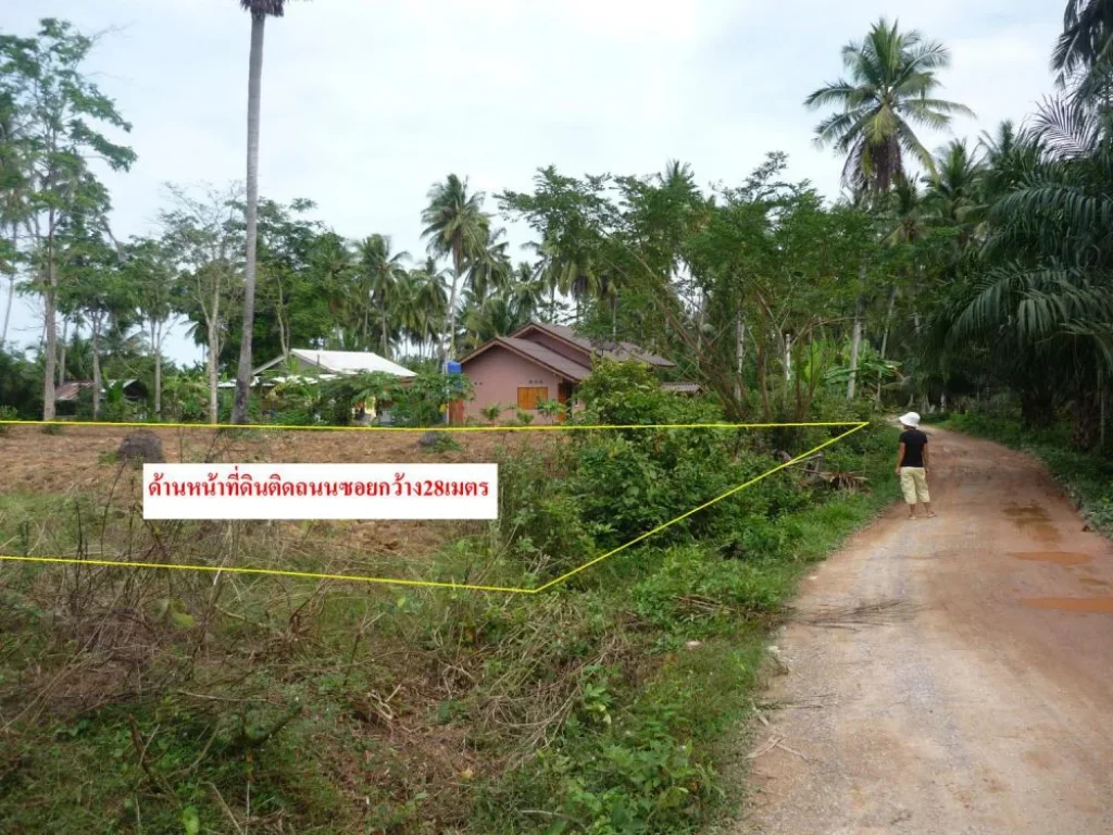 ที่ดิน1ไร่ ขาย1ล้าน ติดถนนสาธารณประโยชน์ เดินทางไปชายหาดสวนหลวง2กิโล