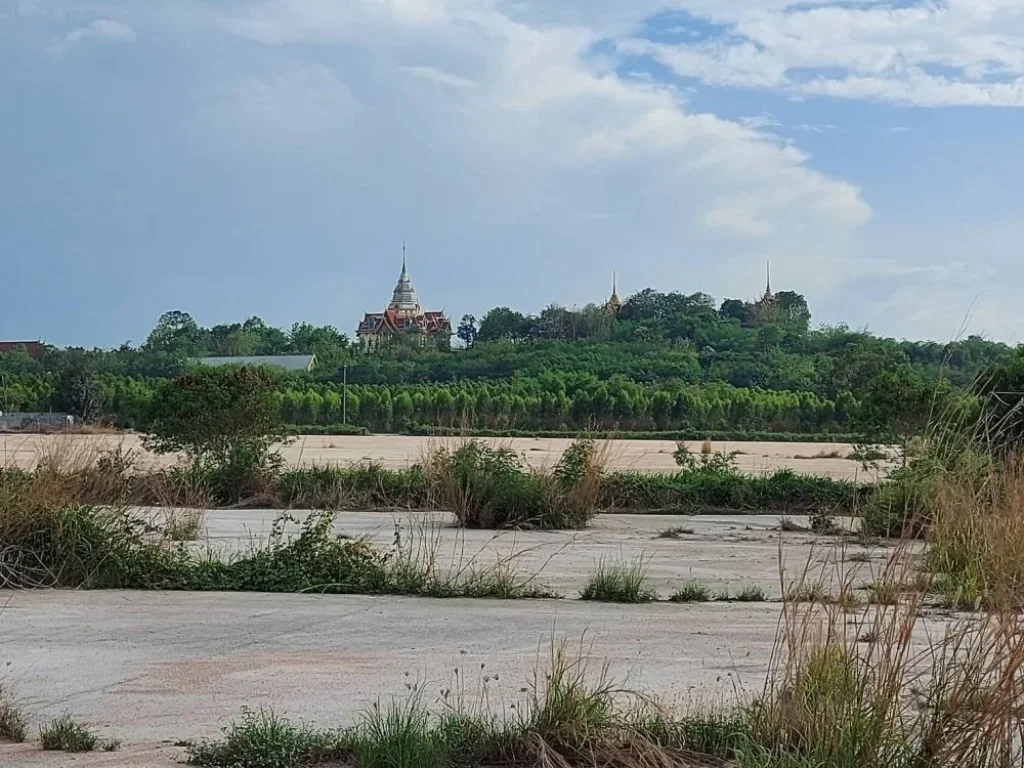 ขายด่วน ที่ดิน 100 ไร่ อำเภอบ้านบึง จังหวัดชลบุรี