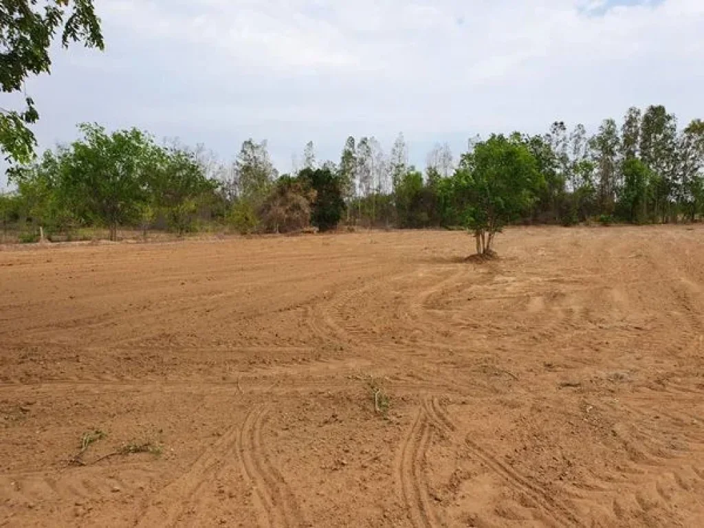 ที่ดินแบ่งล๊อค จสุพรรณบุรี ติดถนนทางหลวงชนบทสวย เริ่มต้นที่ 150000 บาท