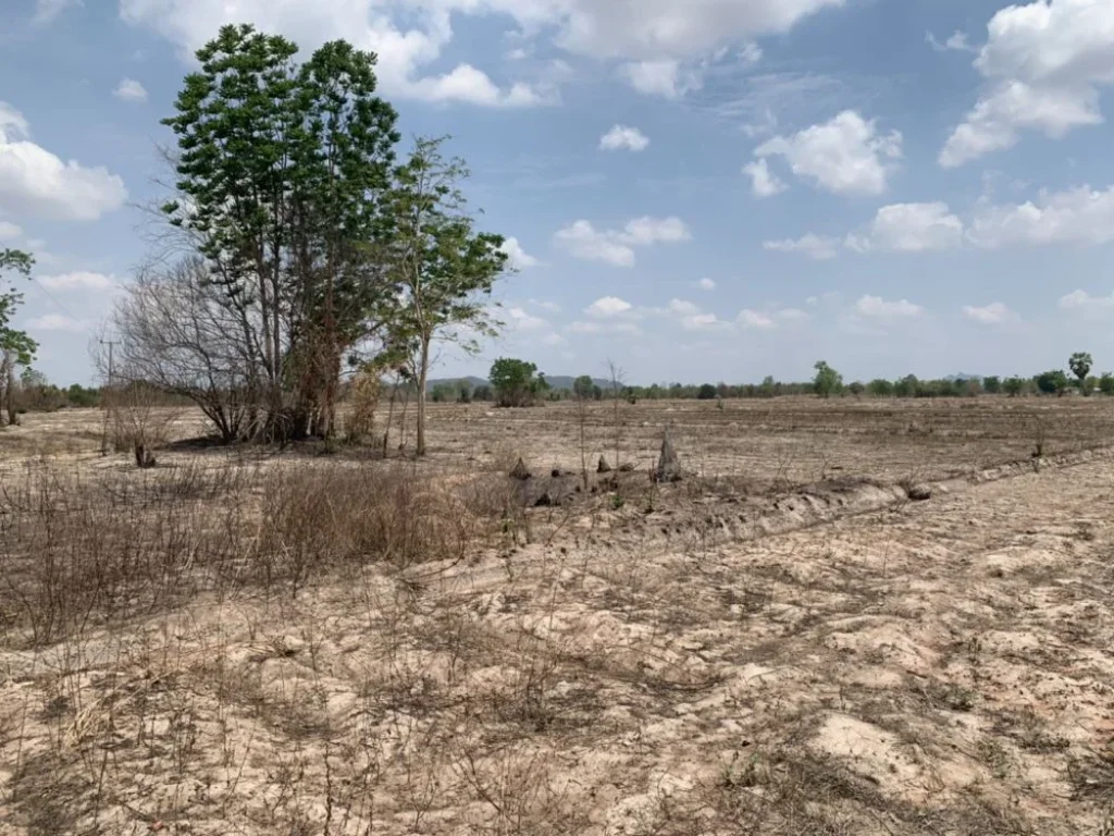 ที่ดิน374ไร่ หนองกระทุ่ม จอุทัยธานี ที่ดินพื้นใหญ่374 acres of Uthai Thani