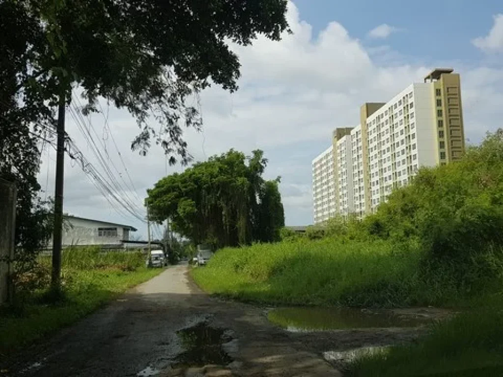 ขายถูกมาก ที่ดิน แปลงสวย ใกล้โรงเรียนบางกอกพัฒนา 300วา ลาซาล ด่วน