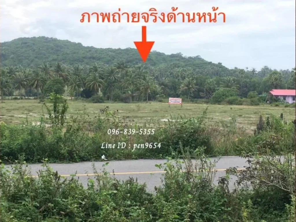 ขายที่ดินริมชายทะเลสงขลา โฉนดพร้อมโอน