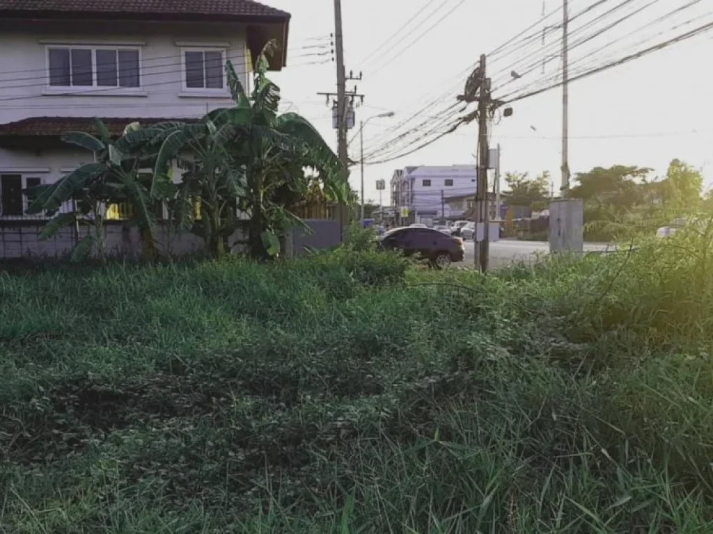 ขายที่ดินมีนบุรี 2-1-39 ไร่ ติดถนนประชาร่วมใจ ด้านหลังติดคลอง เขตคลองสามวา กรุงเทพฯ ทำเลดี เดินทางสะดวก