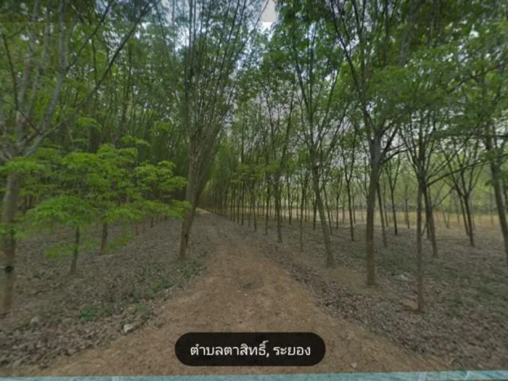 ขายที่ 61ไร่ ภบท5 เขาน้อย ตาสิทธ์ ปลวกแดง ระยอง