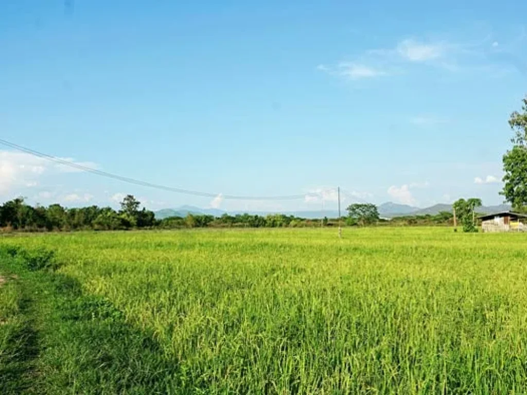 ขายที่นา ตำบลบวกค้าง อำเภอสันกำแพง เชียงใหม่ ใกล้ถนนสันกำแพงสายใหม่ หน้าที่ดินติดถนนกว่า 200 เมตร