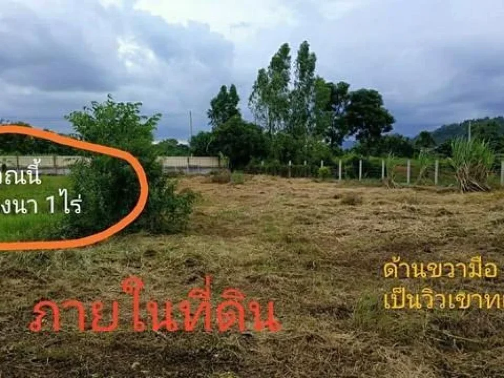 ขายที่ดิน8ไร่อำเภอเมืองจังหวัดนครนายกโฉนด นส4จ ขายราคาต้นทุนวิวเขา ใกล้วัดป่าศรีถาวรนิมิต ใกล้ศูนย์การเรียนรู้ภูกะเหรี่ยง