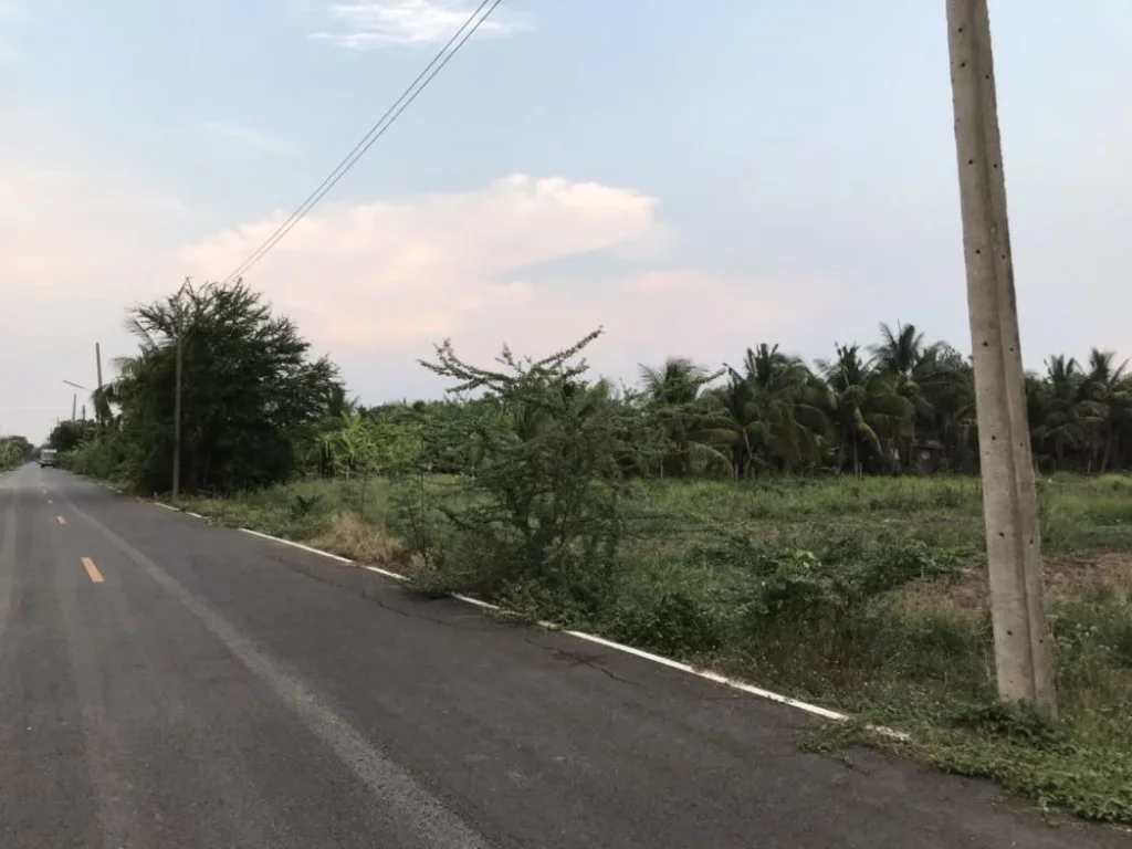 ขายที่ดินเปล่าแปลงสวยติดถนนลาดยางน้ำไฟพร้อมร้อนเงิน