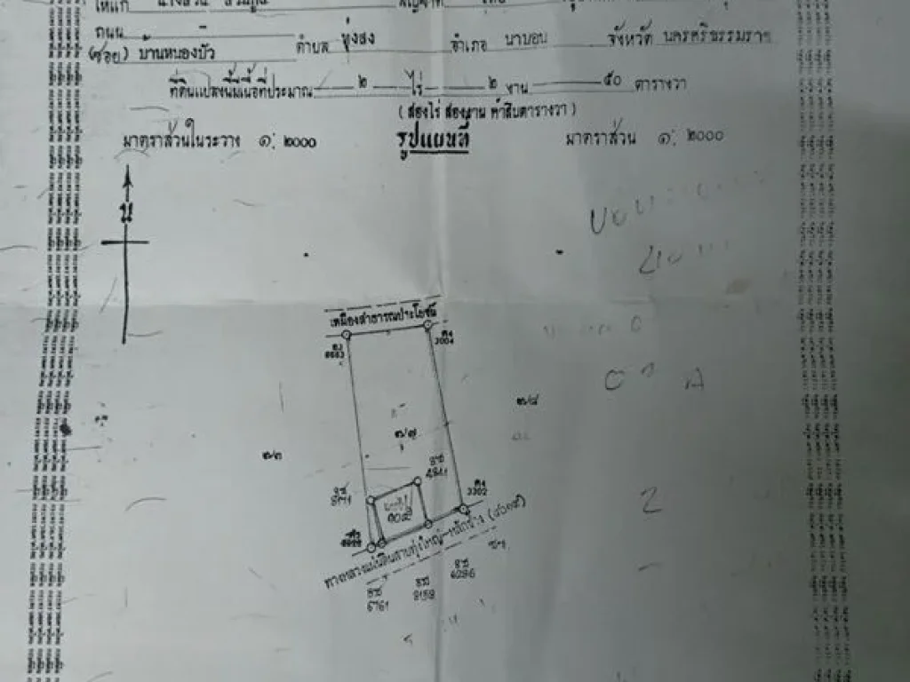 ขายบ้านพร้อมที่ดิน นครศรีธรรมราช บนเนื้อที่ 2 ไร่ 987 ตรว ริมถนนสายหลักช้าง-ทุ่งใหญ่