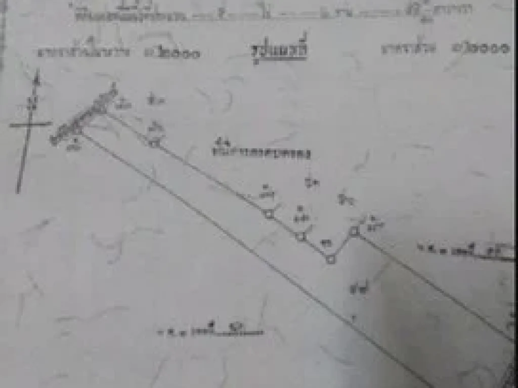 ขาย ที่นา ทั้งหมด 10 ไร่ 3 งาน เขตในเมือง ลำพูน น้ำไฟฟ้าเข้าถึง ใกล้ถนน ซุปเปอร์ไฮเวย์