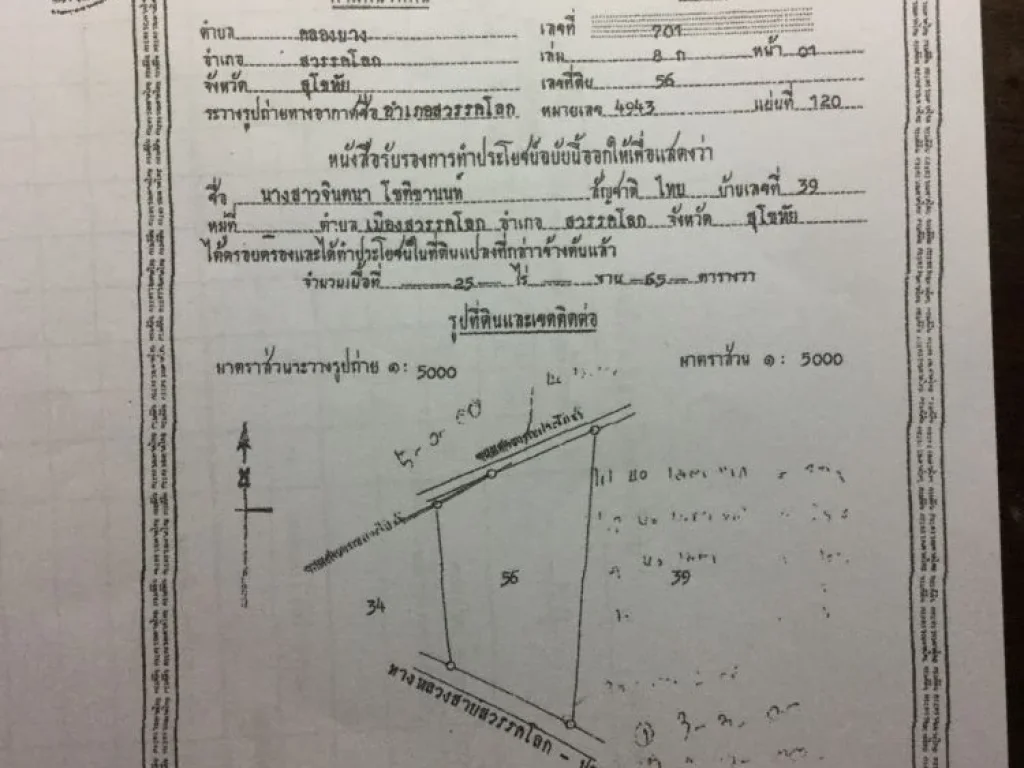 ขายที่ดิน 25 ไร่ ติดถนนสายสวรรคโลก-ศรีนคร