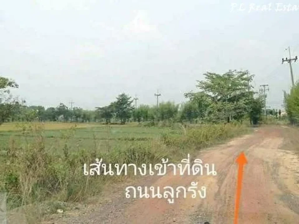 ขายที่ดิน 8 ไร่ เหมาะทำการเกษตร ตศรีนาวา อเมือง จังหวัดนครนายก ใกล้วัดป่าศรีถาวรนิมิต