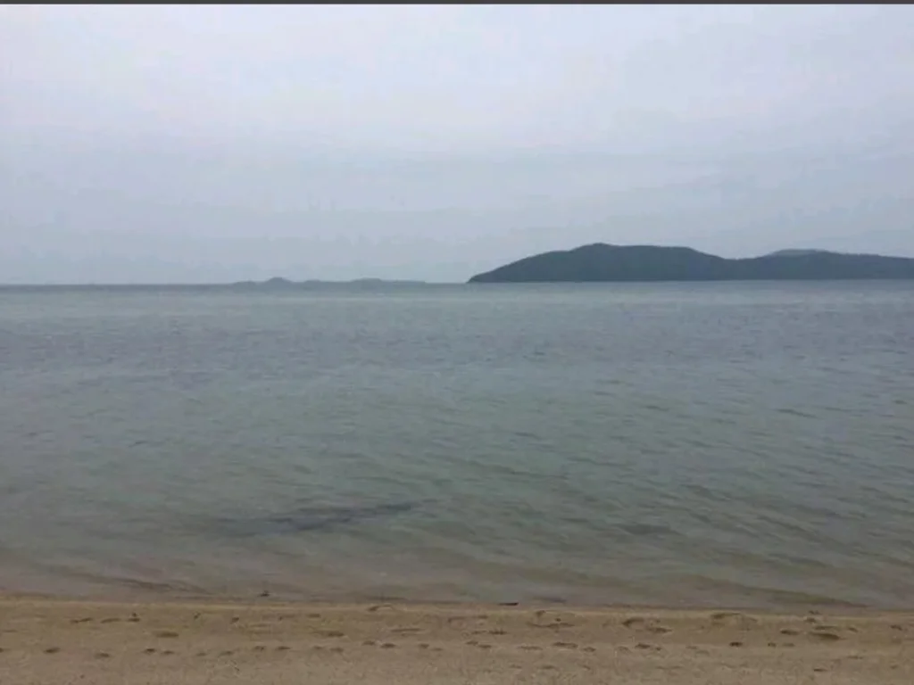 ขายที่ดินบนเกาะสมุย 5 ไร่ ตรงตลิ่งงามติชายหาดถนน