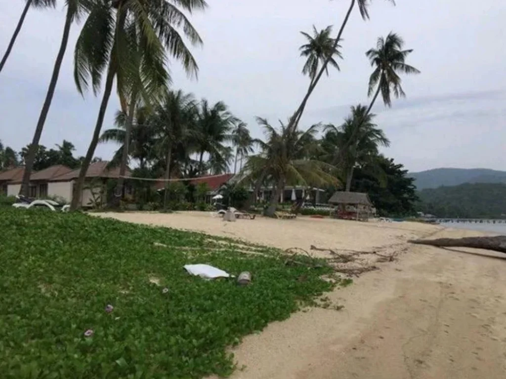 ขายที่ดินบนเกาะสมุย 5 ไร่ ตรงตลิ่งงามติชายหาดถนน