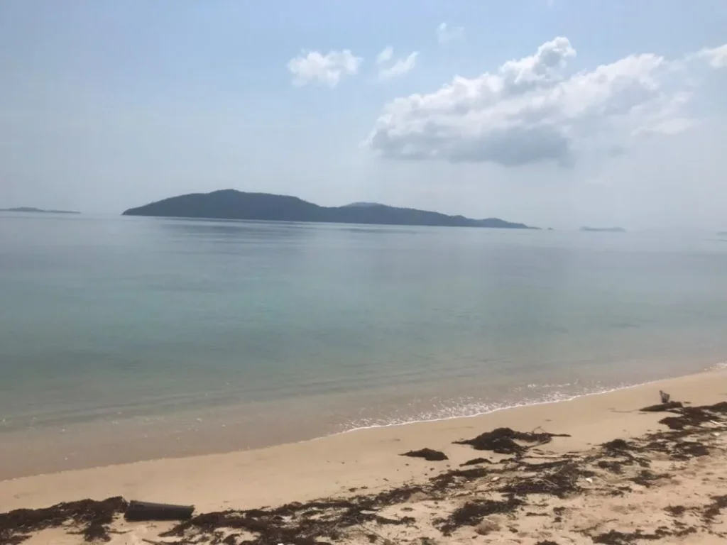 ขายที่ดินบนเกาะสมุย 5 ไร่ ตรงตลิ่งงามติชายหาดถนน