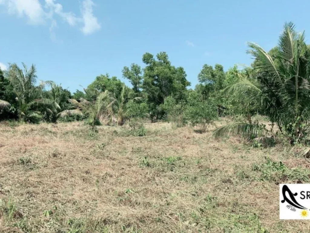 ขายที่ดินบนเกาะสมุย ใกล้สนามบิน 2ไร่ 90 ตรวมองเห็นวิวทะเล ใกล้สนามเกาะสมุย ใกล้หาดเฉวง ใกล้ท่าเรือบางรัก ใกล้สถานที่ท่องเที่ยวต่างๆ เราขาย ไร่ละ 6 ล้