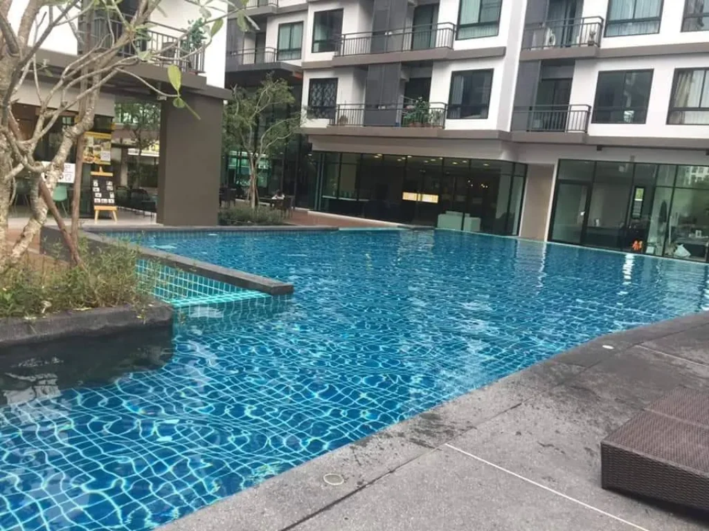 ให้เช่าคอนโด The Living Condo บางแสน 1 นอน 35 ตรม ชั้น 8 ใกล้หาดบางแสน มบูรพา