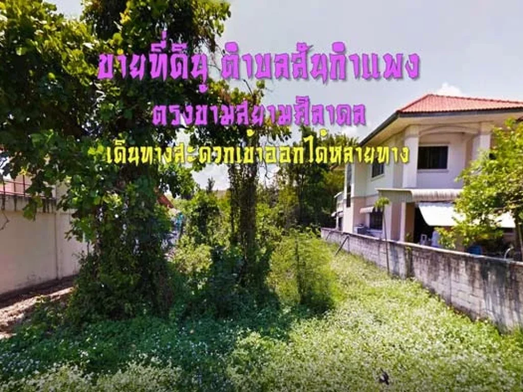 ขายที่ดิน ตำบลสันกำแพง ตรงข้ามสยามศิลาดล เดินทางสะดวกเข้าออกได้หลายทาง