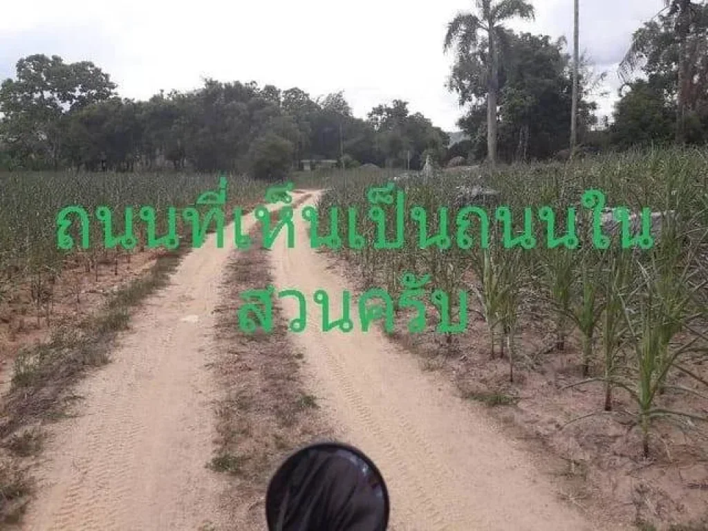 ที่ดินผืนงาม อเวียงป่าเป้า บ้านสันติสุข หมู่ 1 จังหวัดเชียงราย ทำเลดีมาก