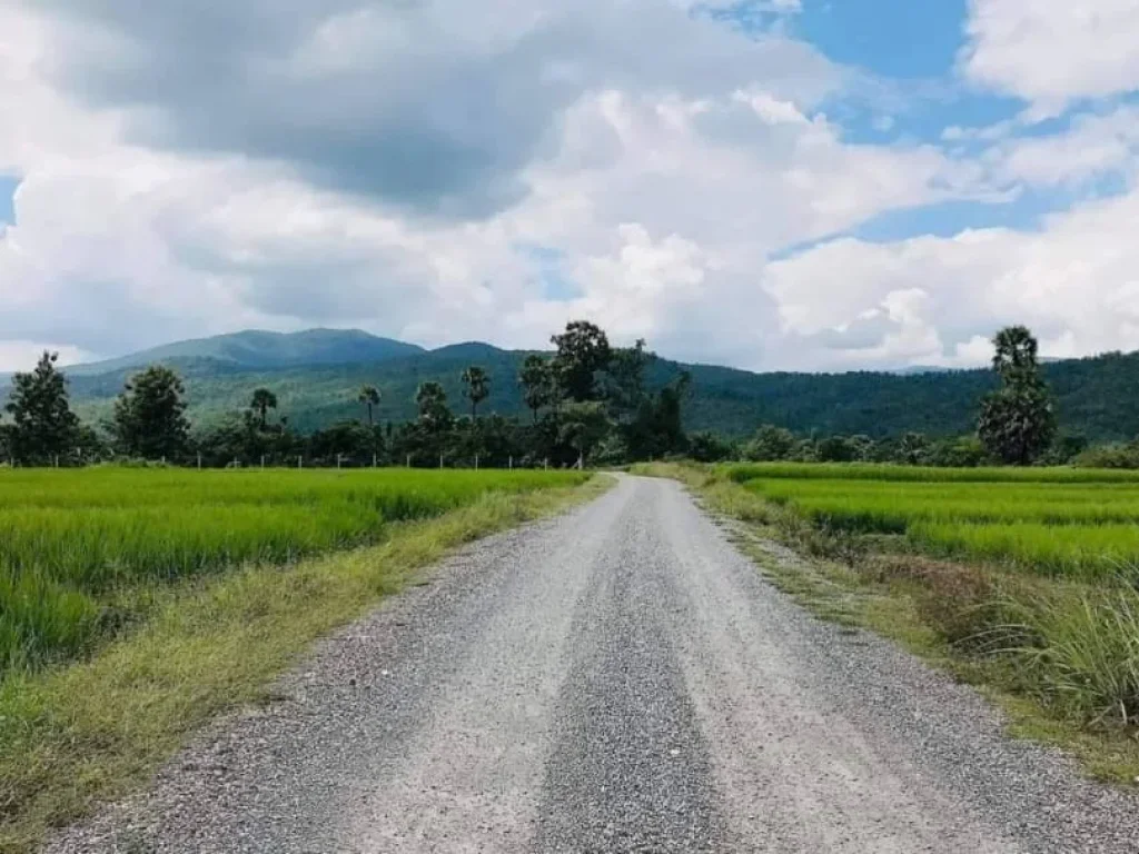 ขายที่ดินวิวดอย 180 องศา บ้านหลวง จอมทอง ราคาถูก