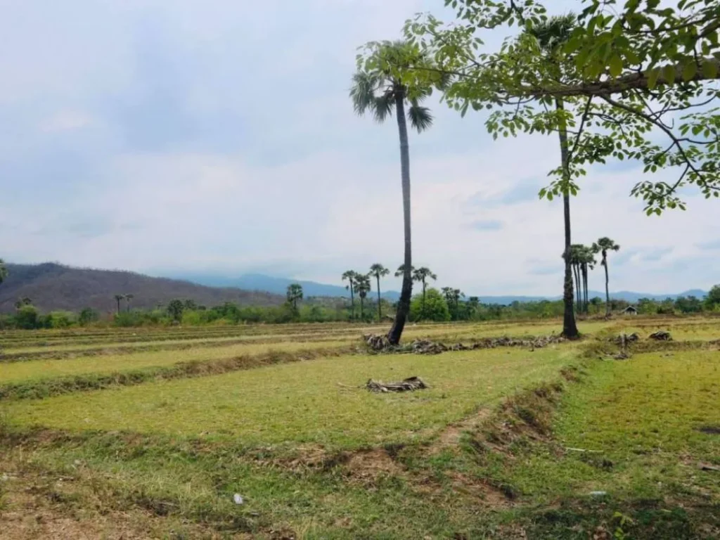 ขายที่ดินวิวดอย 180 องศา บ้านหลวง จอมทอง ราคาถูก