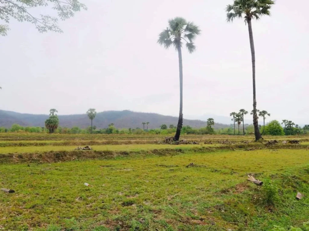 ขายที่ดินวิวดอย 180 องศา บ้านหลวง จอมทอง ราคาถูก