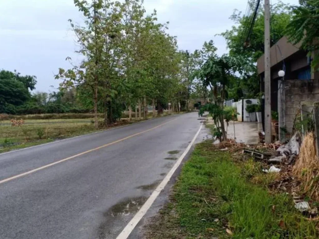 ขายที่ดินเขตสันปูเลย ติดถนนคอนกรีต ราคาถูก