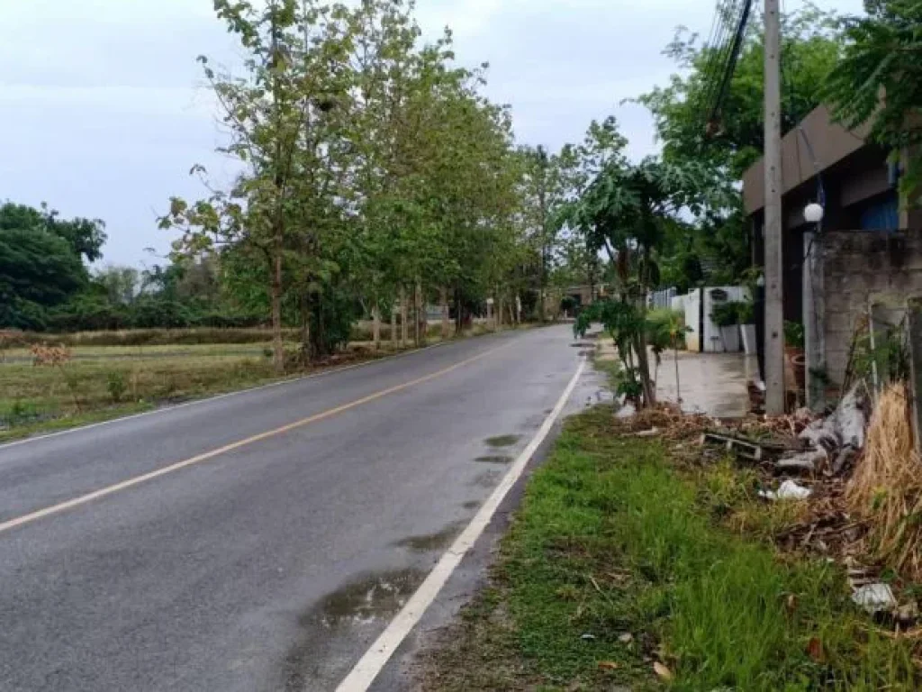 ขายที่ดินติดถนนค้าขายได้ สันปูเลย ราคาถูก