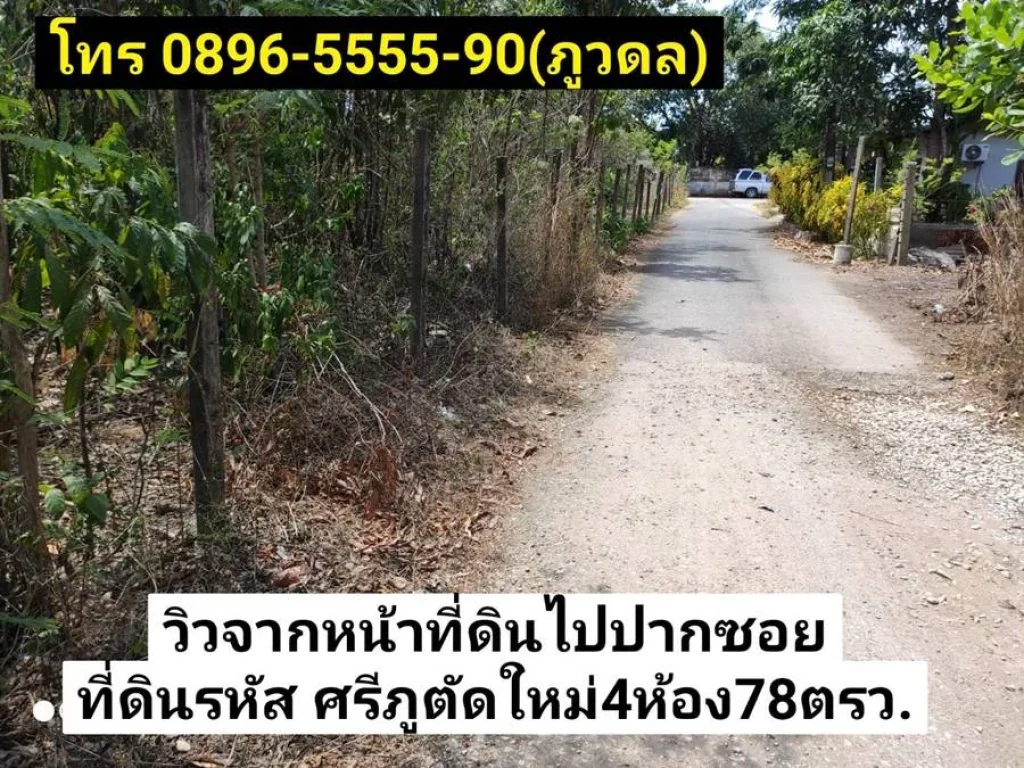 ย่านกำลังแข่งขันกันเติบโต ที่ดิน4ห้อง78ตรว 39ล้านบาท ย่านศรีภูตัดใหม่ หาดใหญ่ สงขลา