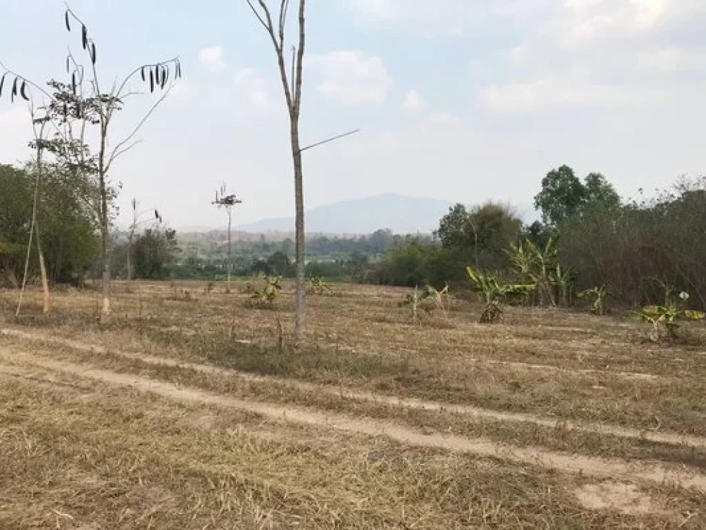 ขายที่ดิน เชียงใหม่ 52 ไร่ ติดทางหลวง กม42 เชียงใหม่-พร้าว ไร่ละ 68 แสน บาท โฉนด