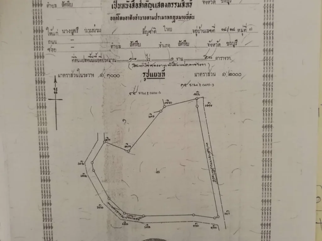 Sell empty land with warehouse Sattahip District Chon Buri Province