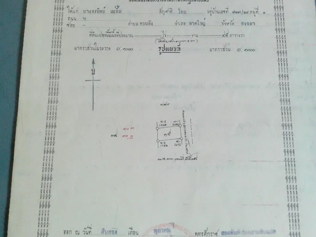 ขายที่ดินเปล่า 2 ห้อง 45 ตรว