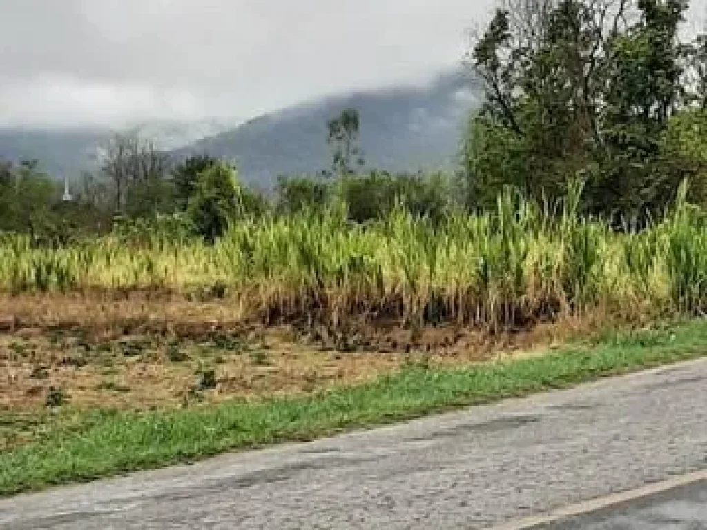 ขายที่ดินวิวดอย ติดถนนราดยาง แม่ออน เชียงใหม่