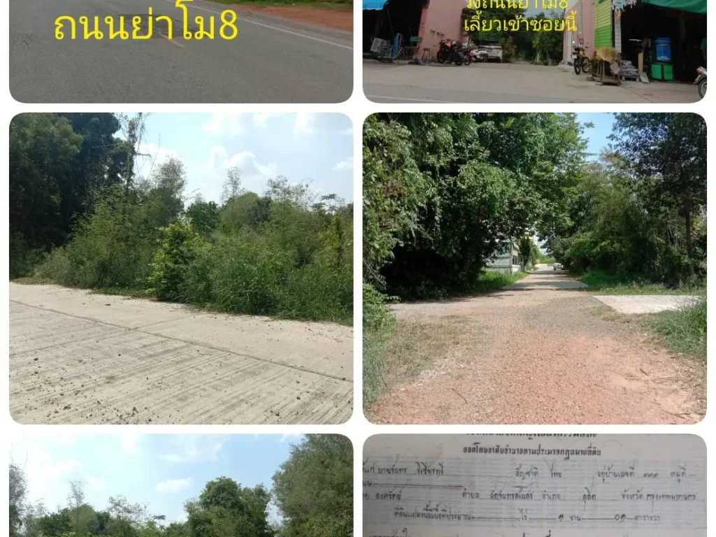 ที่ดินทำเลใกล้ตลาดค้าส่งเทิดไท ขนาด 101 ตรวตสุรนารี อเมือง จนครราชสีมา