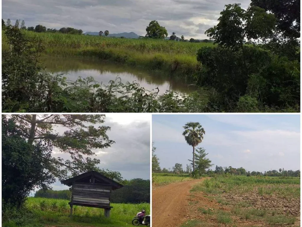 ที่ดินโฉนด 25ไร่ ห่างถนนหลวง 333 สายบ้านไร่ - อุทัยธานี 700 เมตร