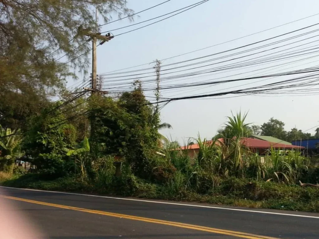 ขายที่ดินติดถนนตัวเมืองปราจีนบุรีใกล้ห้างโรบินสันโลตัส