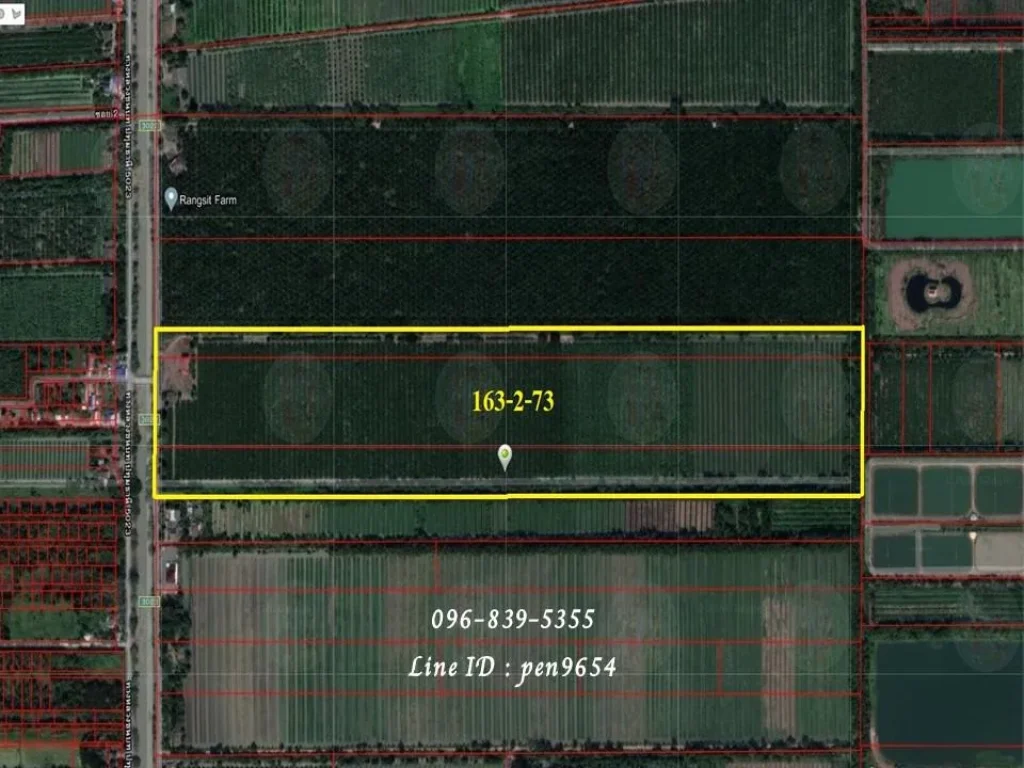 PH686 ขายที่ดินเลียบคลอง 11 ปทุมธานี 163 ไร่ 65 ล้านบาท