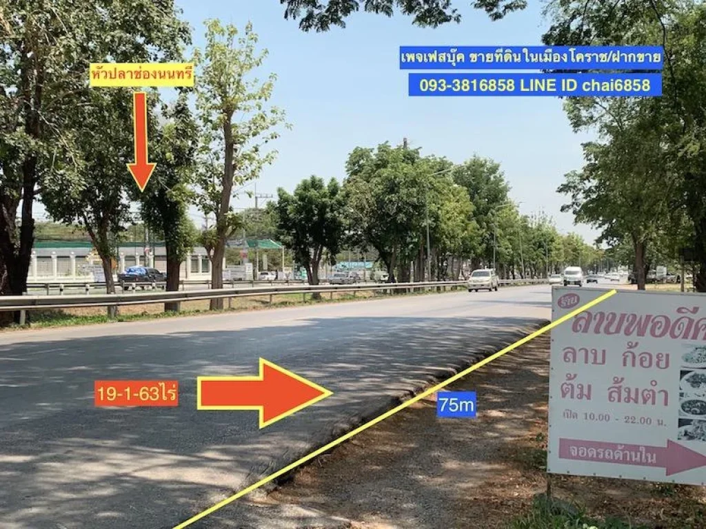 ขายที่ดินติดถนน304ใกล้สามแยกปัก เมืองโคราช 195ไร่ 