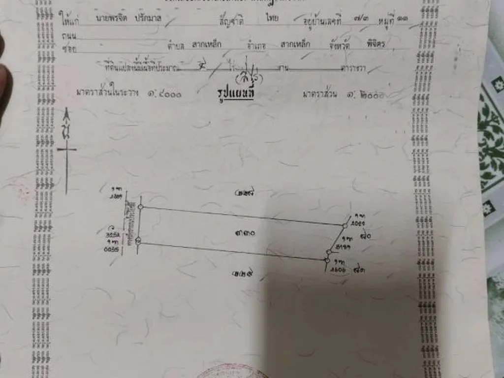 ขายที่ดินเปล่า4ไร่ คิดถนนคอนกรีต บ้านปากดง สากเหล็ก