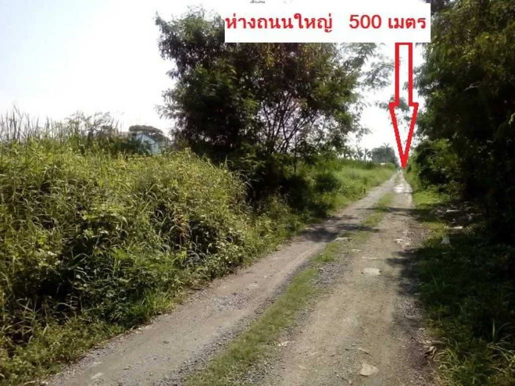 ที่ดินถนนพัฒนาการตัดใหม่ ใกล้ถนนใหญ่ 500 เมตร ใกล้สวนหลวงร9 ถนนเฉลิมพระเกียรติร9 เขตพระโขนง