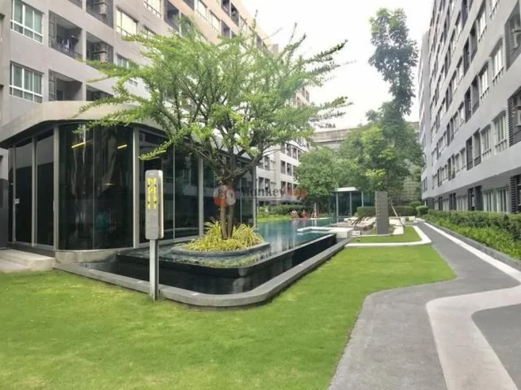 เช่า Elio Condo Sukhumvit 64 ชั้น 5 ขนาด 23 ตรม