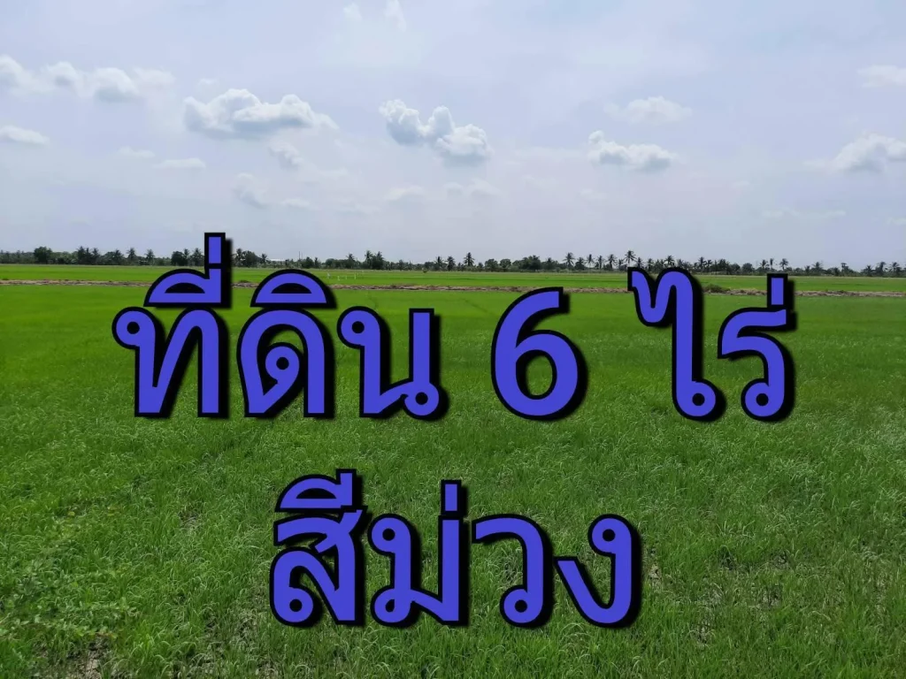 ขายที่ดินสีม่วงไทรน้อย 6 ไร่ เหมาะทำโกดัง-โรงงานอุตสาหกรรม ไทรน้อยนนทบุรี