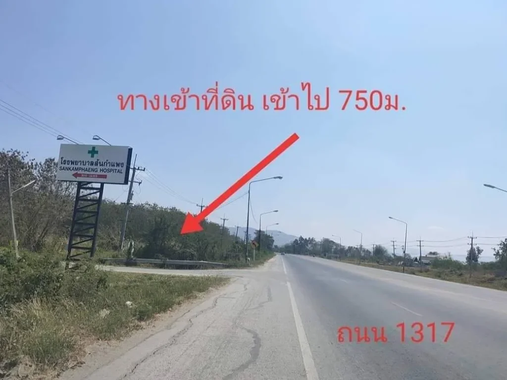 ขายที่ดินติดถนน 1317 เข้าซอย 700 เมตร ราคาถูก